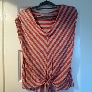 Faith and Joy Diagonal Striped V-Neck Blouse - dusty rose and pale pink